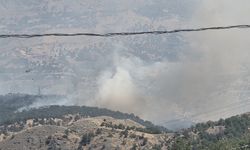 Adıyaman'da orman yangını