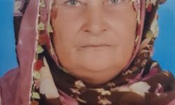 Arazide cansız bedeni bulundu