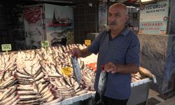 Av yasağı sona eriyor
