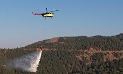 Aydın Kuyucak'ta orman yangını ikinci gününde