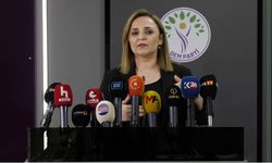 Ayşegül Doğan'dan yasa ve tahliye açıklaması