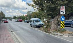 Beykoz'da motosiklet ağaca çarptı