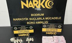 Bodrum'da uyuşturucu operasyonu