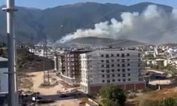 Bursa'da orman yangını