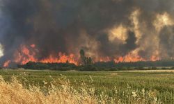 Çanakkale'de Orman Yangını Riski Uyarısı