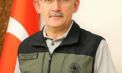 Çanakkale'de orman yangınlarında büyük düşüş