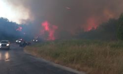 Çanakkale'de Otluk Alanda Yangın Ormana Sıçradı!