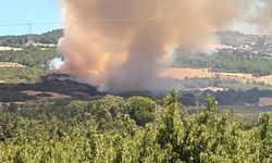 Çanakkale'de tarım arazisinde yangın