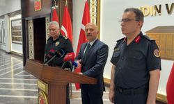 "Çine'deki orman yangınına ilişkin 2 kişi gözaltına alındı"