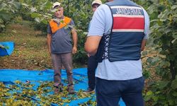 Fındık bahçelerinde hırsızlık denetimi yapıldı
