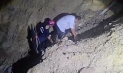 Göksu Nehri'nde mahsur kaldılar, ekipler tarafından kurtarıldılar