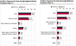 Hanehalkının Enflasyon ve Dolar Beklentisi Yükseldi
