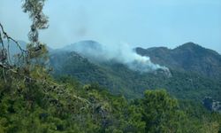 Kemer'de orman yangını