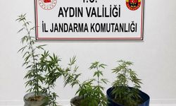Kuşadası'nda uyuşturucu operasyonu: