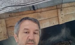 Kuzenini domuz sandı, tüfekle öldürdü!