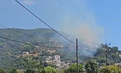 Marmara Adası'nda orman yangını