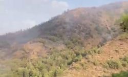 Muğla'da orman yangını devam ediyor!