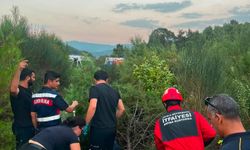 Muğla'da otomobil şarampole yuvarlandı
