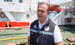 Muğla’daki kuluçkahanelerde 900 milyon yavru balık üretiliyor