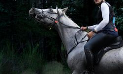 Oğuz Alper Öktem, Balkan Şampiyonası’nda milli formayı giyecek