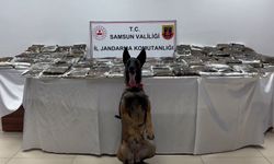 Samsun'da 132 kilo toz esrar ele geçirildİ