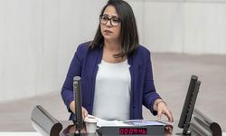 TİP Milletvekili Sera Kadıgil Hakkında Re'sen Soruşturma