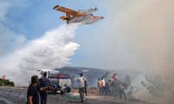 Orman yangınlarında 1 şüpheli tutuklandı