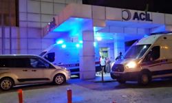 Annesini tabancayla öldürdü!