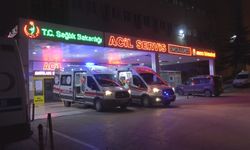 Arızalanan TIR'ı tamir ederken otomobil çarptı