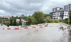 Bartın'da kuvvetli rüzgar ağaçları devirdi