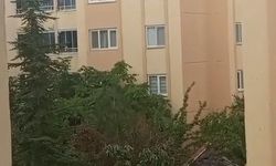 Bingöl’de kuvvetli rüzgar çatıları uçurdu, görüş mesafesi düştü