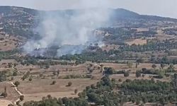 Bursa'da orman yangını