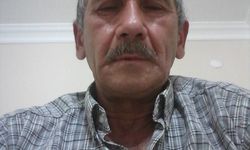 Düzce’de orman işçisinin feci ölümü