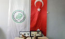 İş yerinde hayvan tahnitlerini satarken yakalandı
