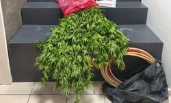 İzmir'de uyuşturucu operasyonu