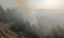 Kumluca'daki orman yangınının enerjisi düşürüldü