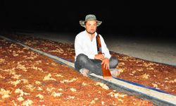 Manisa ovasında tüfekli nöbet
