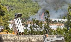 Mersin'de orman yangını