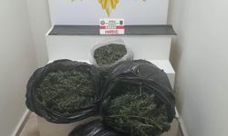 Muğla'da uyuşturucu operasyonu