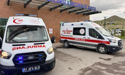 Niğde'de lastiği patlayan minibüs şarampole devrildi