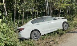 Otomobil, elektrik direğine çarptı 1 ölü