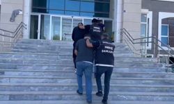 Şanlıurfa'da 9 kilo 550 gram skunk ele geçirildi