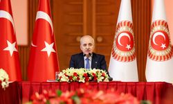 TBMM Başkanı Kurtulmuş: Yapanın yanına kâr kalmayacak
