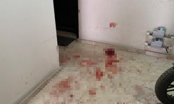 Üvey babasını bıçaklayarak öldürdü