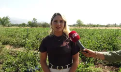 Dondurma yerken tanıştı, kendi çiftliğini kurdu! 20 yaşında aronya üreticisi oldu