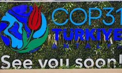 COP31’in İklim Uygulama Köprüsü’nde ilk 5 ülke açıklandı