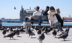İstanbul’un Yaşam Kalitesi En Yüksek Mahallesi Belli Oldu!