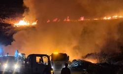 Bodrum’daki makilik yangını kontrol altına alındı