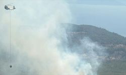 Bodrum’da orman yangını: Havadan ve karadan müdahale ediliyor