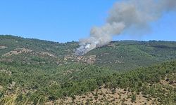 Bursa’nın Büyükorhan ilçesinde orman yangını çıktı